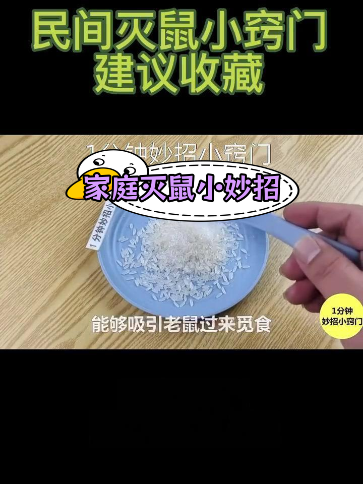 自制老鼠药配方洗洁精图片