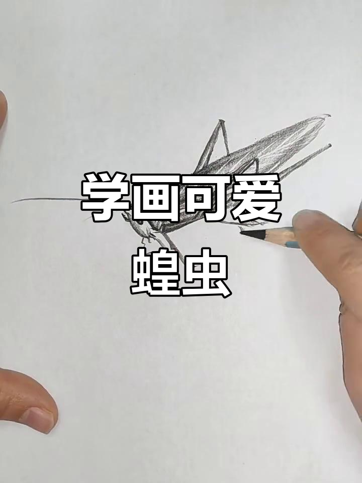 轻松学画蝗虫,简单又有趣