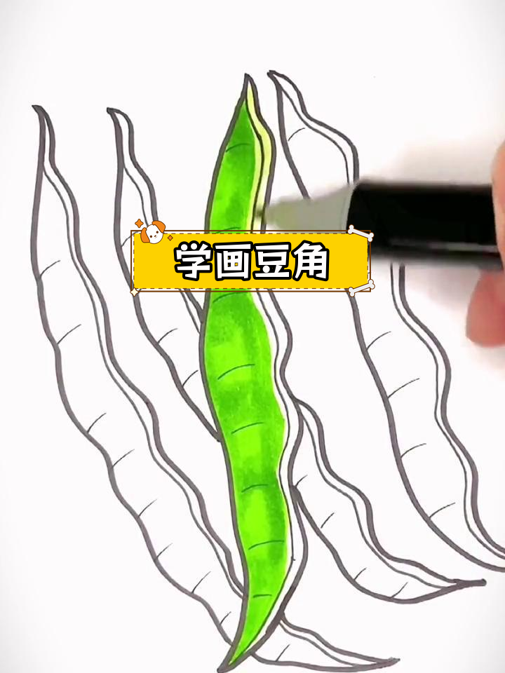 简单几步画出豆角,轻松学简笔画