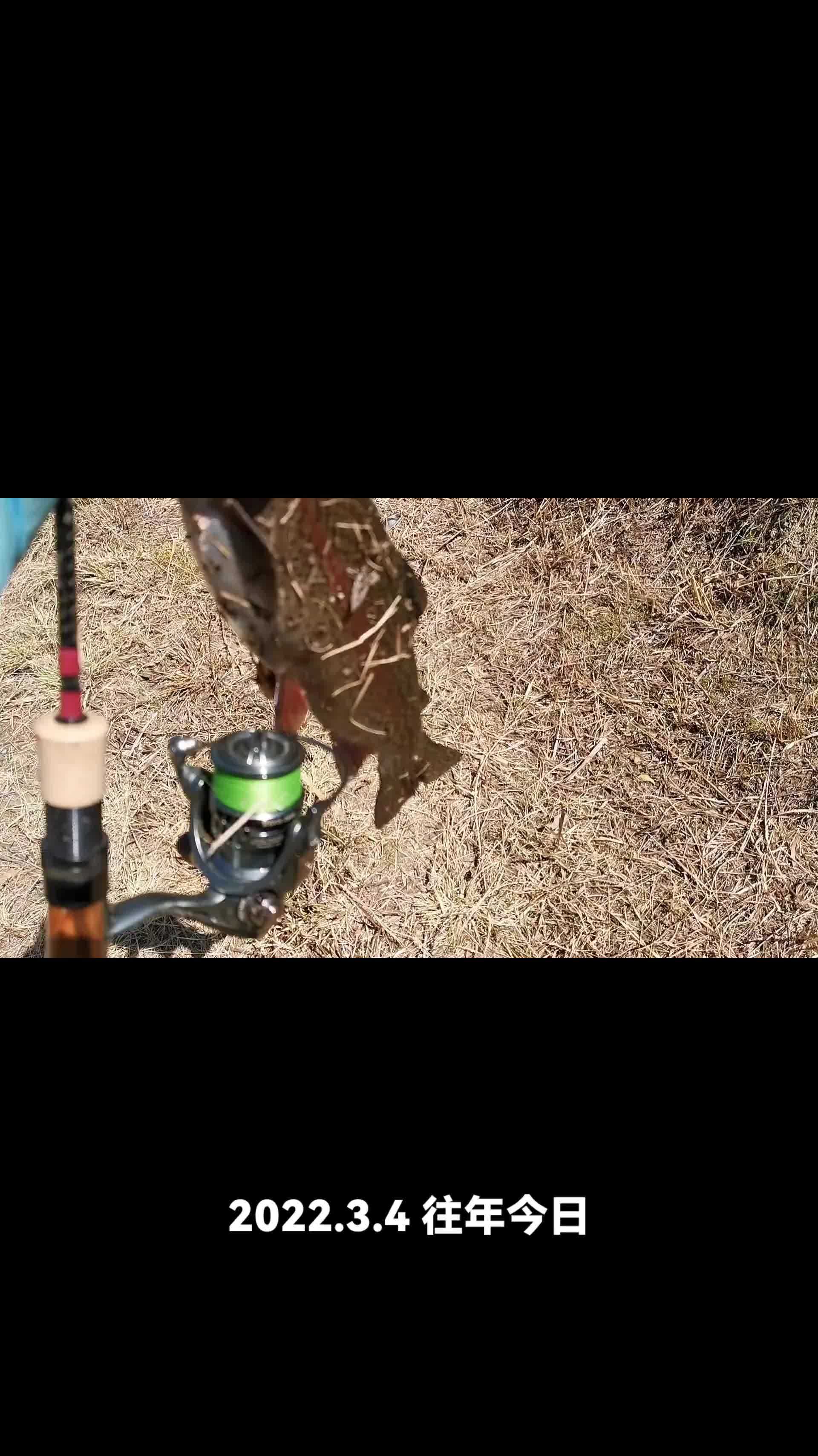 路亚冷水虹鳟鱼 路亚 原来钓鱼才是抖音运动顶流 虹鳟鱼 路亚野钓