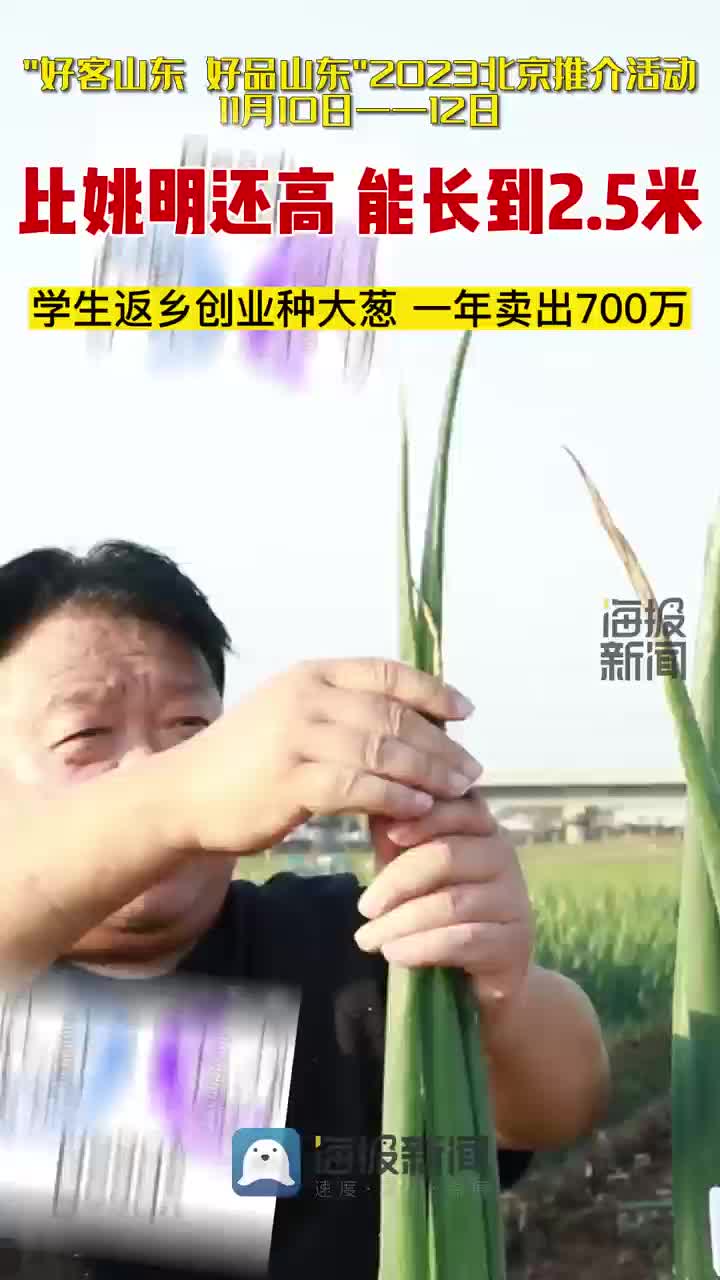 章丘大葱 姚明图片