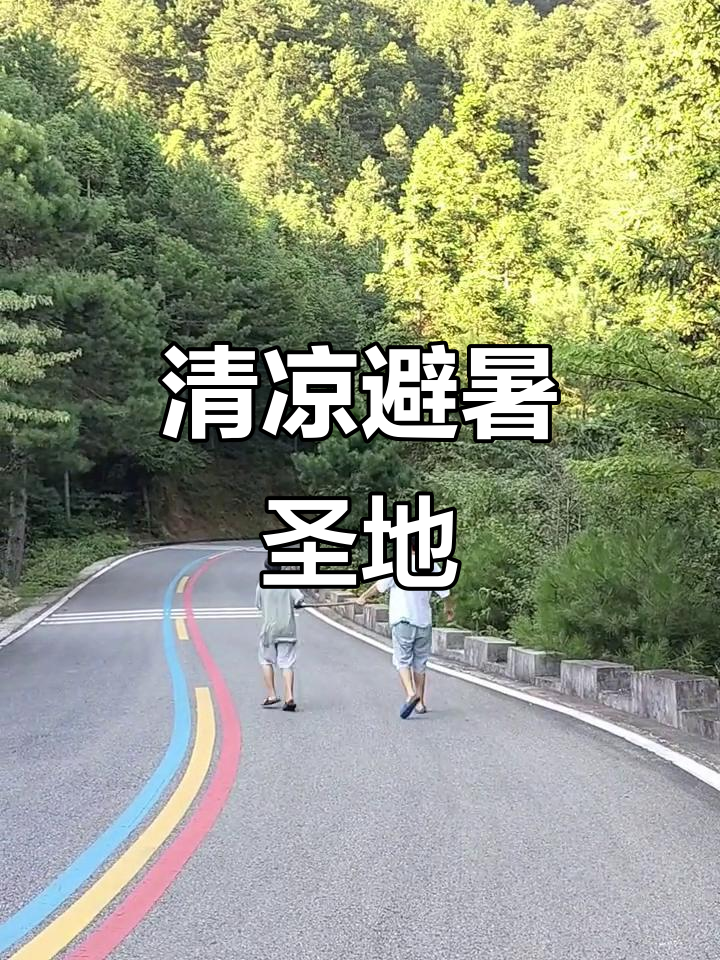 妙道山天气今日情况