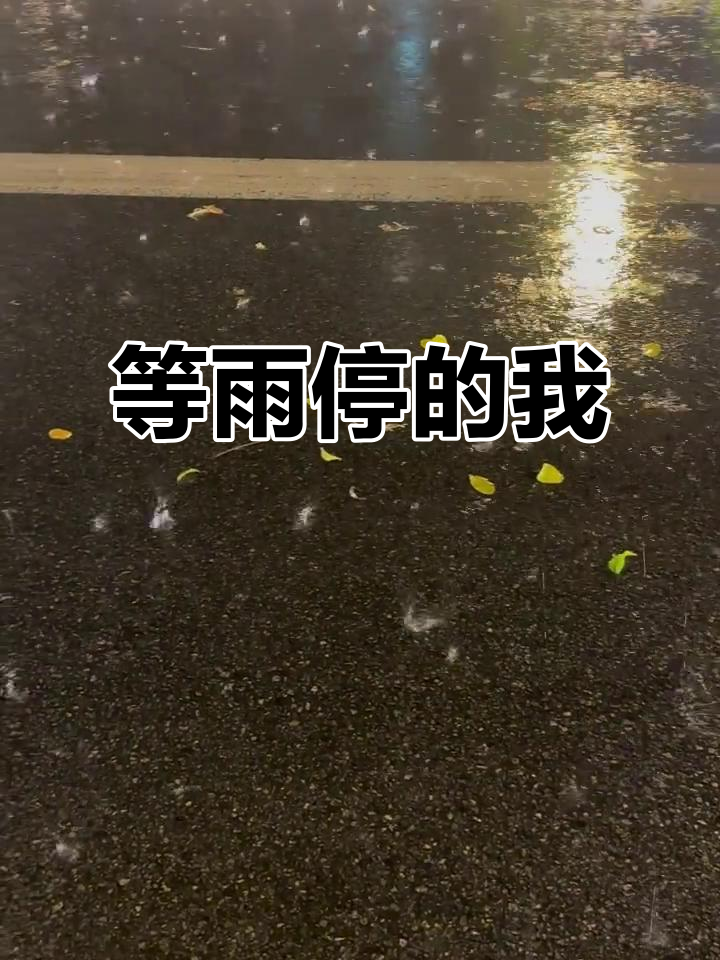 有人在等伞,有人在等人,而我却在等待雨停的那一刻