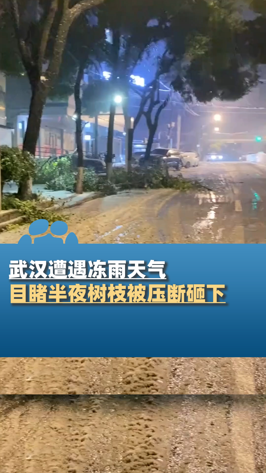 湖北武汉遭遇冻雨天气,男子半夜目睹树枝被压断砸下