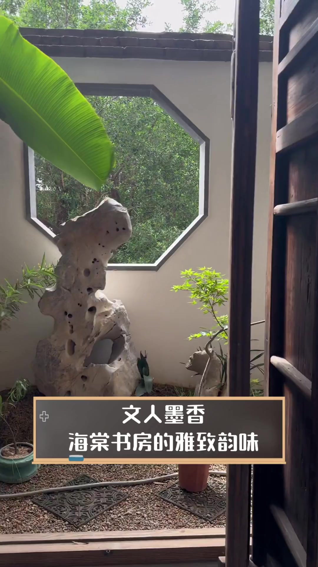 海棠书屋官方网站入口，海棠书屋  值得收藏的宝藏文学小说阅读