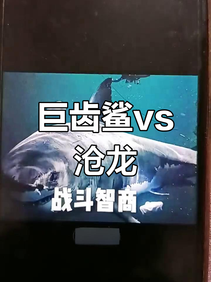 巨齿鲨与沧龙的终极对决