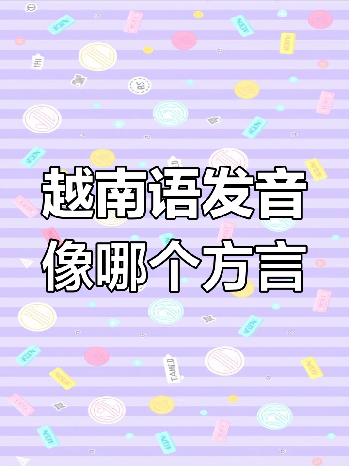 越南语中文互译语音器=越南语翻译中文语音软件免费