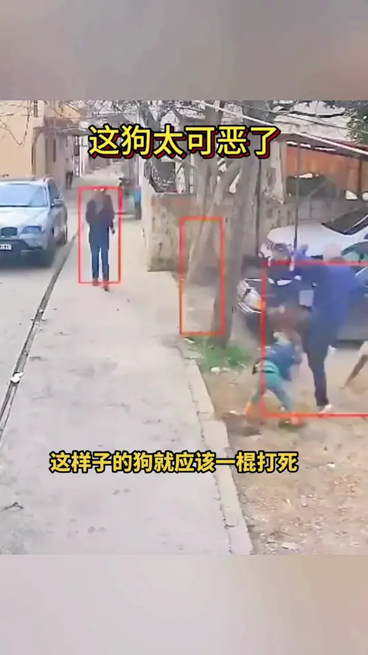 监控下的一幕恶狗咬小孩真的太气愤了