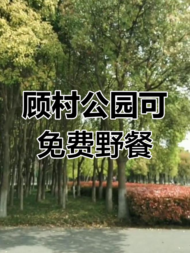 顾村公园免费图片