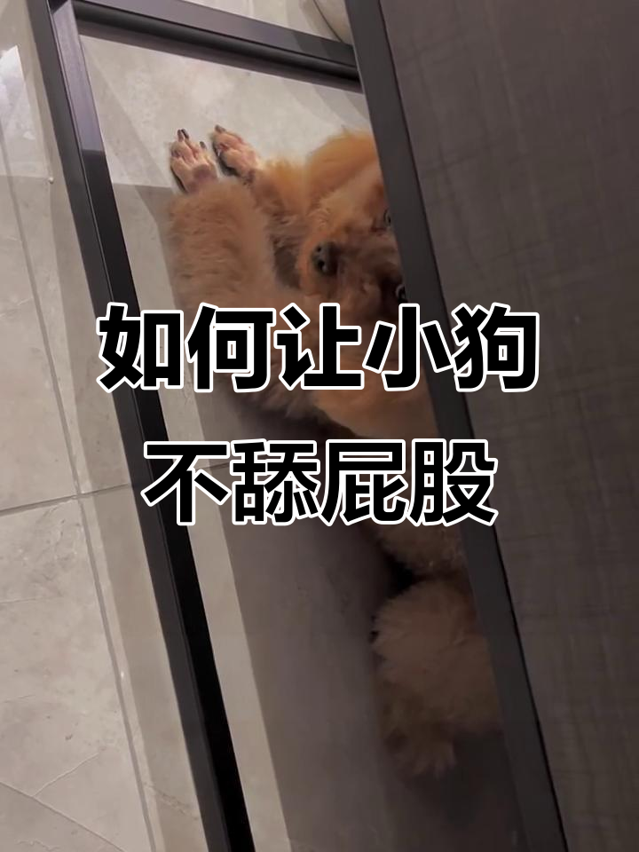 狗狗为什么闻屁股 狗狗为什么闻屁股