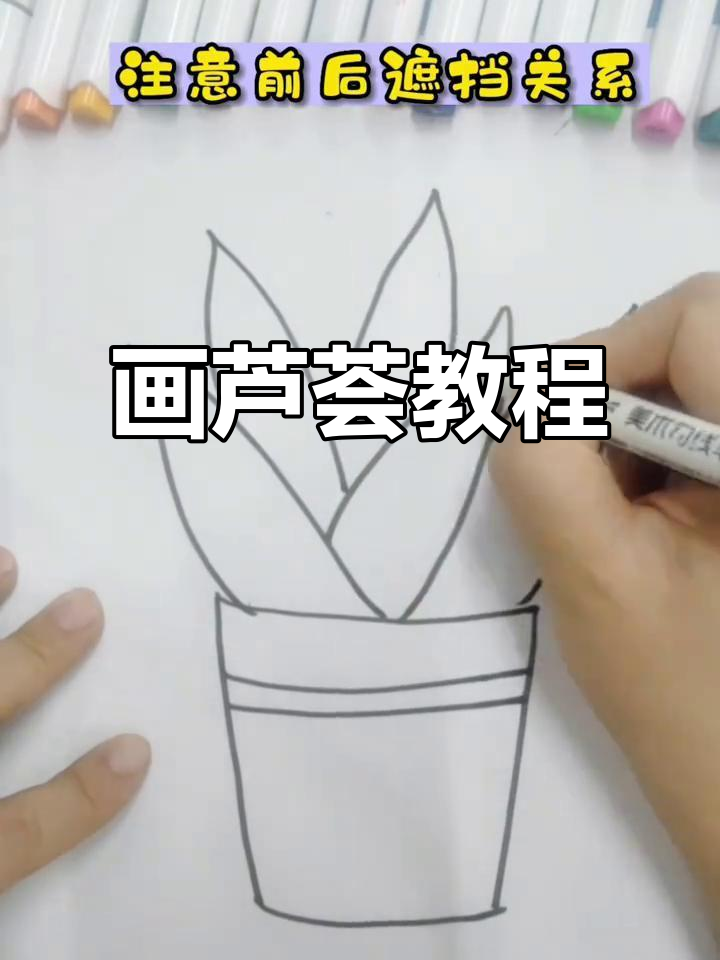 轻松画出可爱芦荟,步骤简单有趣