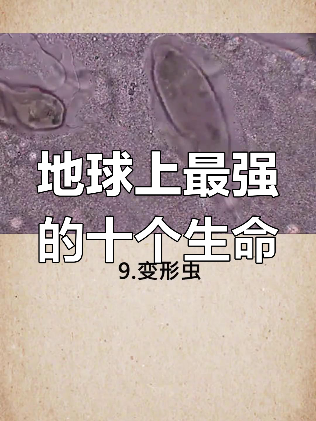 世界上杀不死的十大生物