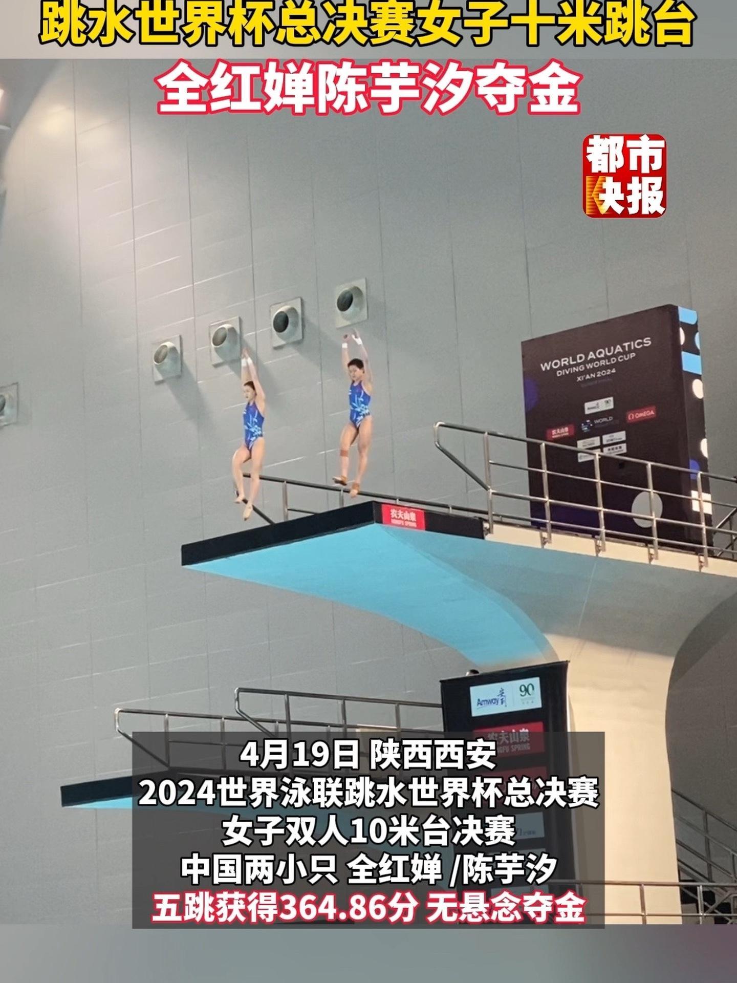 毫无悬念2024世界泳联跳水世界杯女子十米跳台决赛全红婵陈芋汐夺金