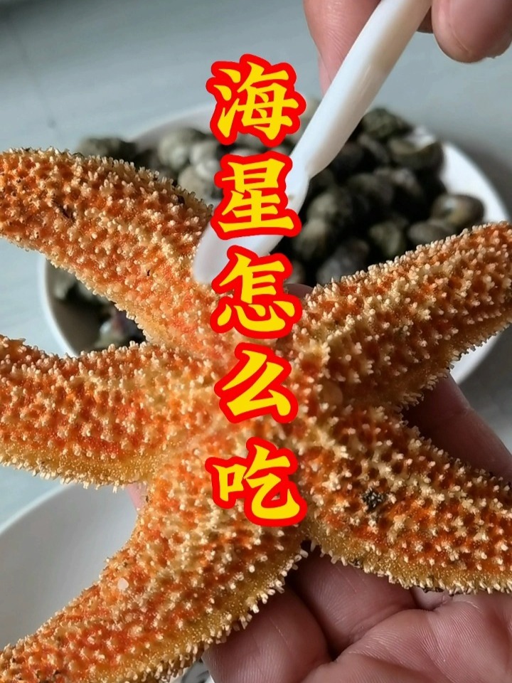 海星怎么吃