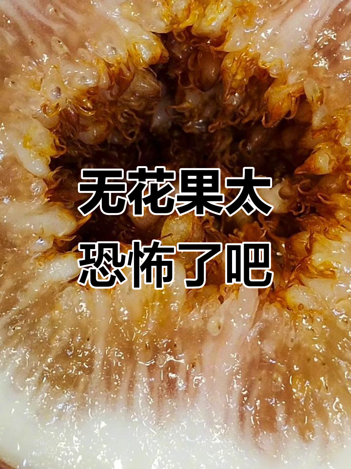 无花果终于熟了,但看起来有点吓人,能吃吗?