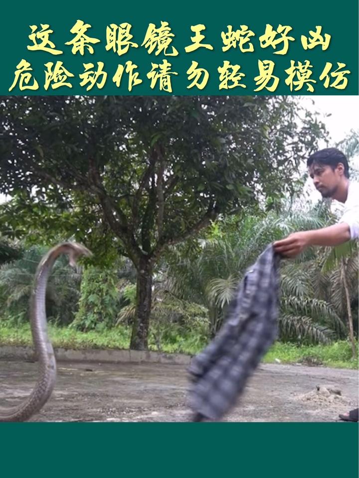 专业人士表演 危险动作请勿模仿