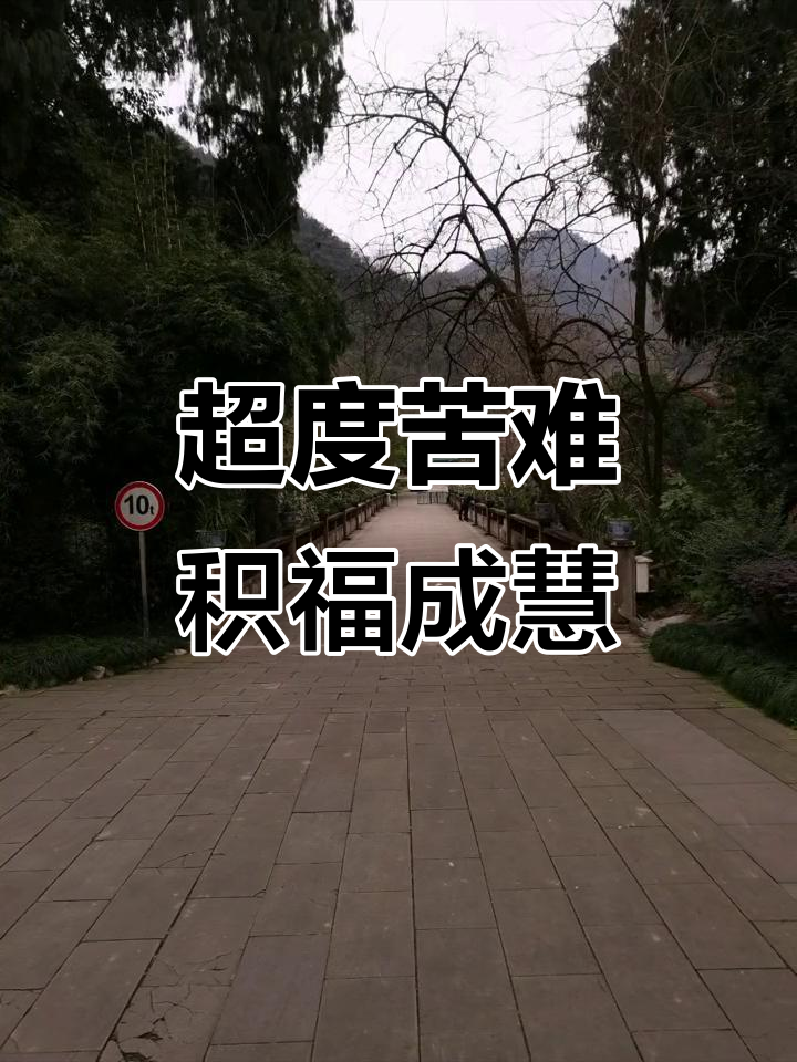 超度体内众生方法-十方法界一切众生牌位 超度体内众生方法-十方法界一切众生牌位