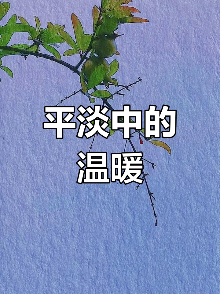 无需过度追求,平淡生活才是真,心安即是温暖