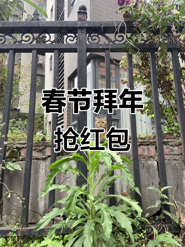 新春到,拜年拿红包!龙年大吉大利,好运连连