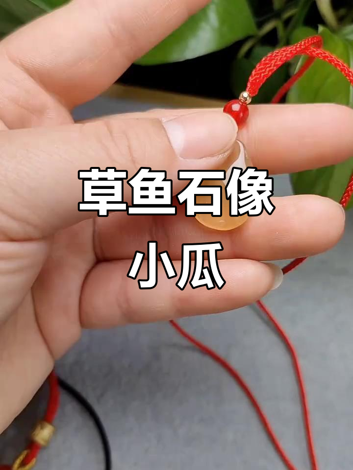 草鱼石竟如此独特,像个小瓜子一样可爱