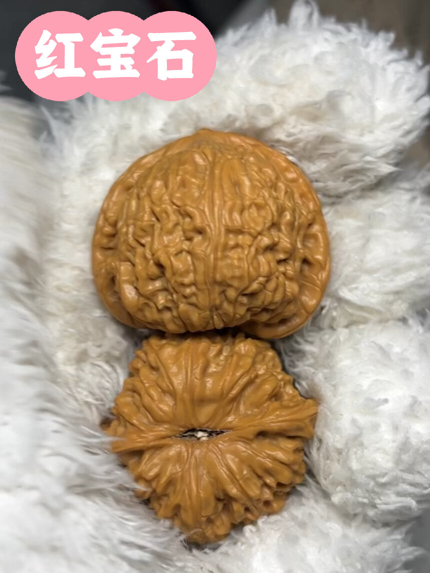 回血 红宝石核桃