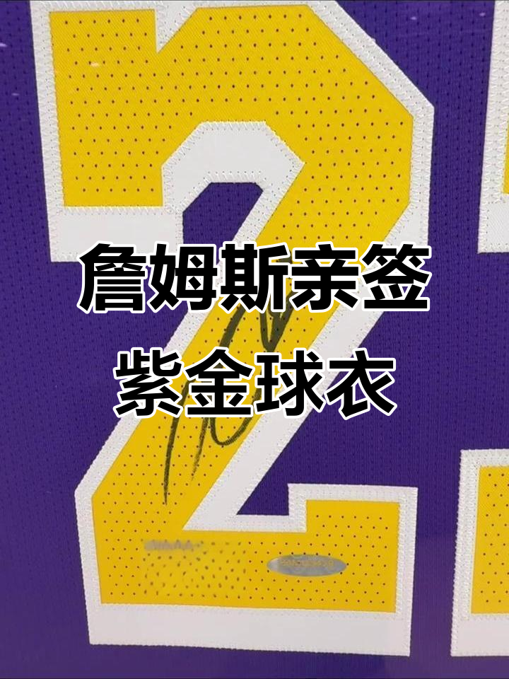 顶级湖人紫金詹姆斯亲签球衣,珍稀签名藏品