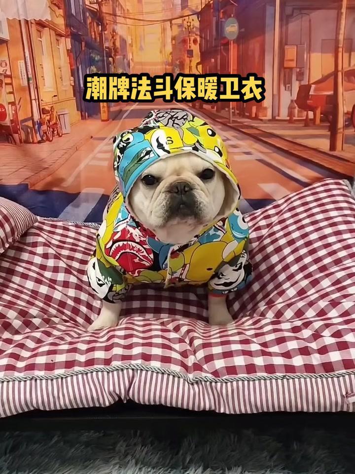 自制法斗犬衣服教程图片