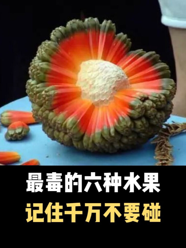 最毒的六种水果记住千万不要碰!