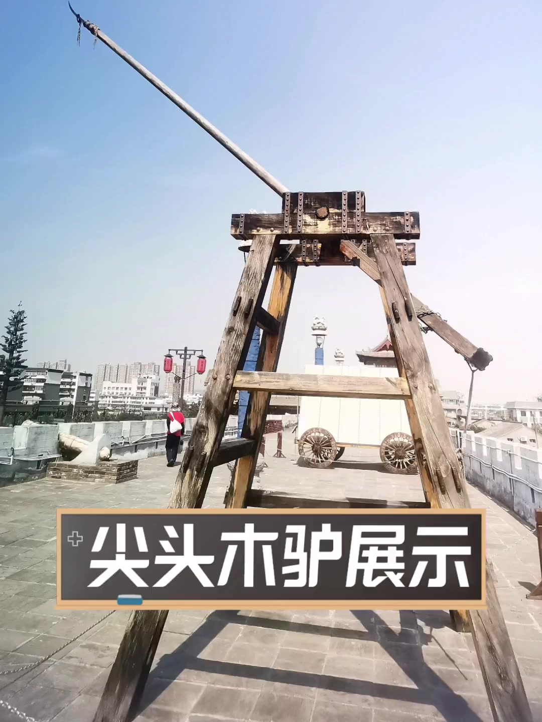 尖头木驴展示