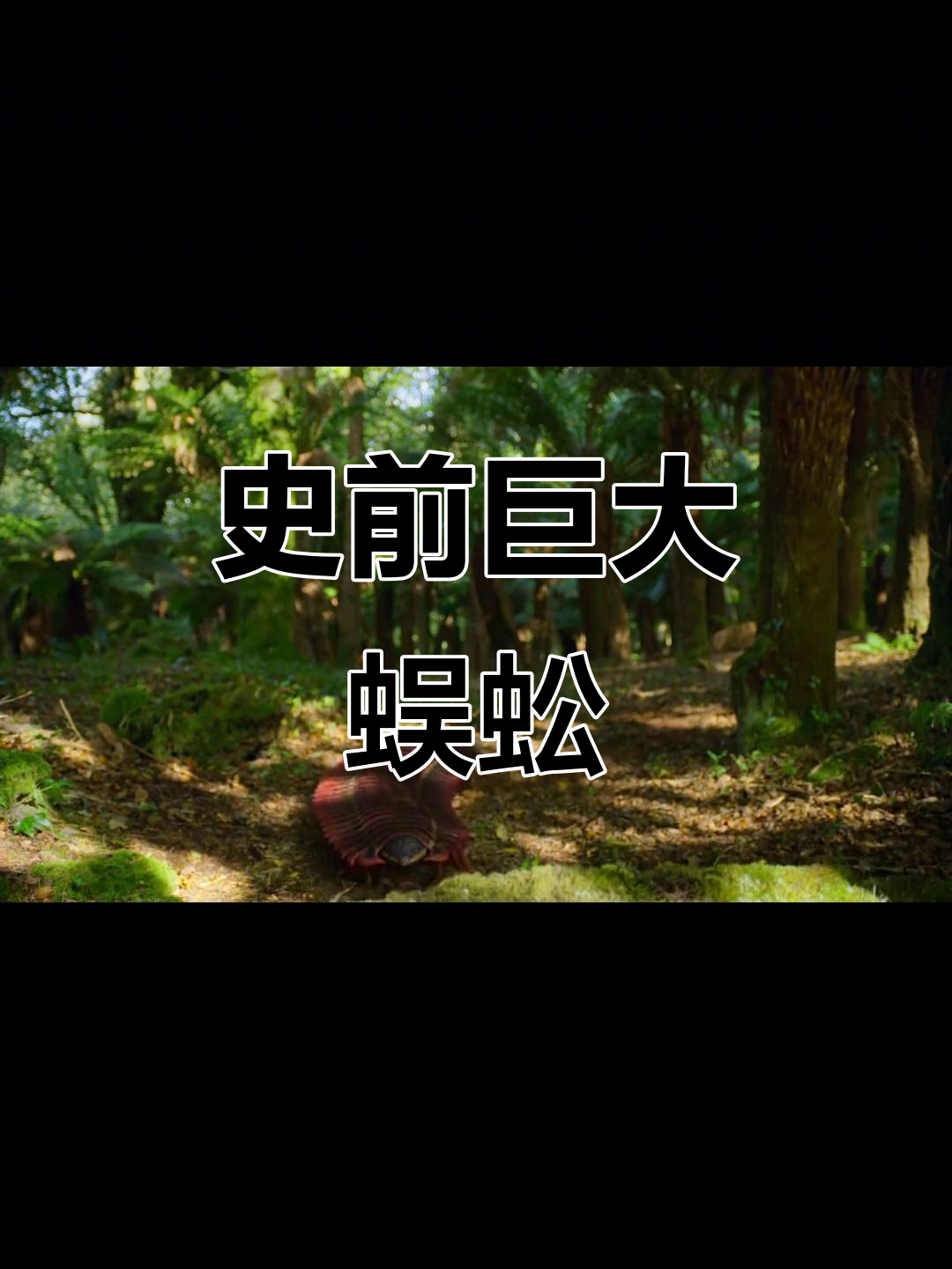 史前巨型蜈蚣:远古怪兽的惊悚真相