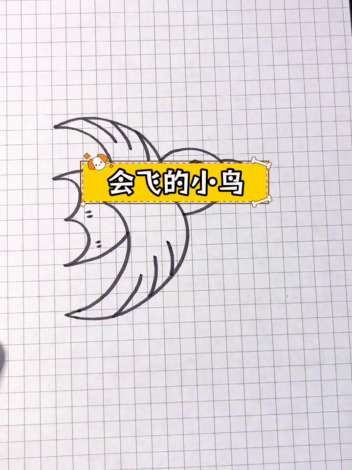 空中飞鸟简笔画 可爱图片