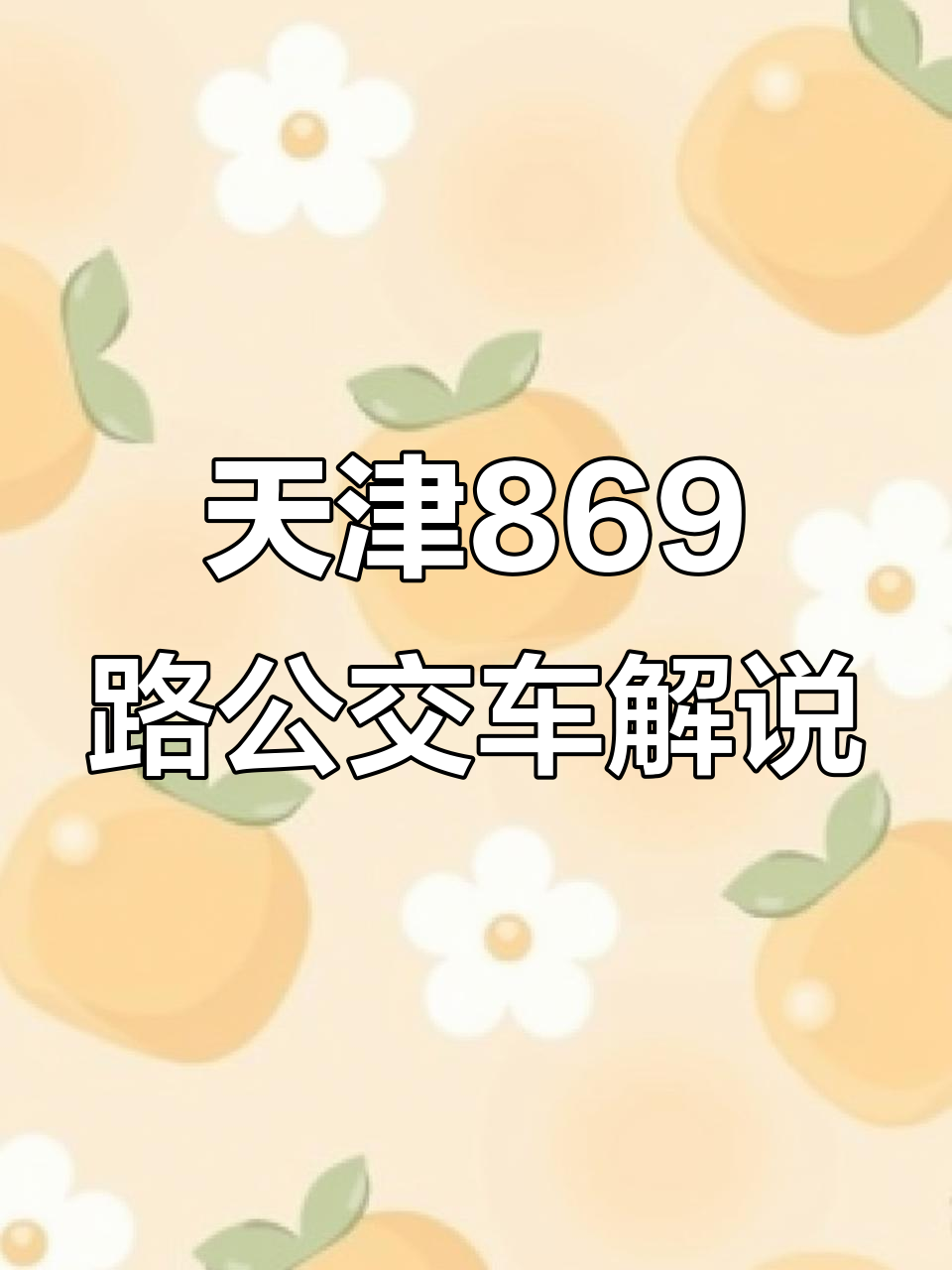 天津公交869路,从兴庄到新技术园区的日常解说