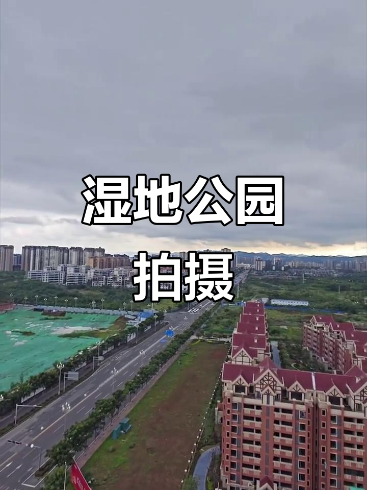 湿地公园实拍:自然美景与生态和谐