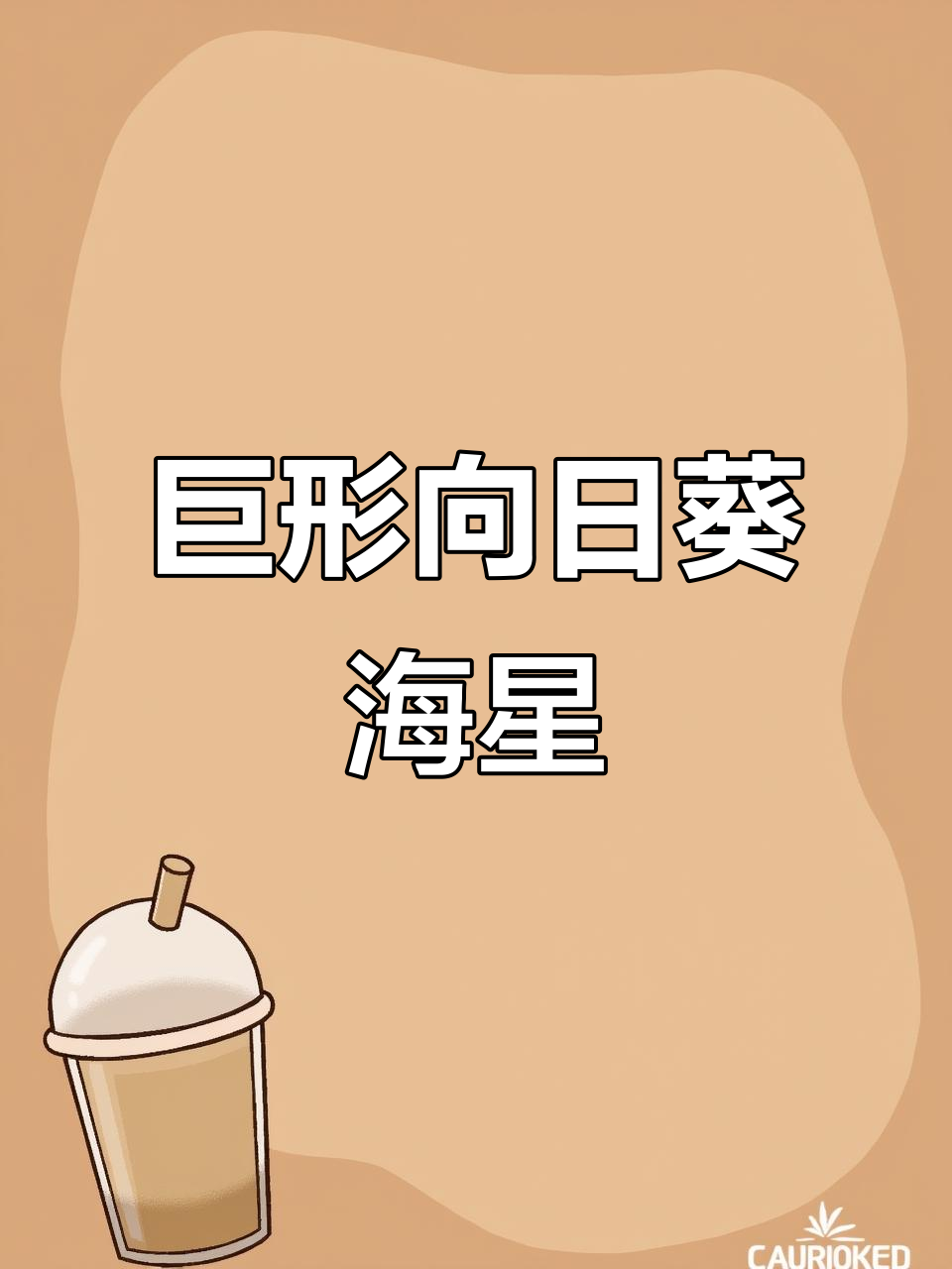 罕见巨型向日葵海星,脚数惊人!