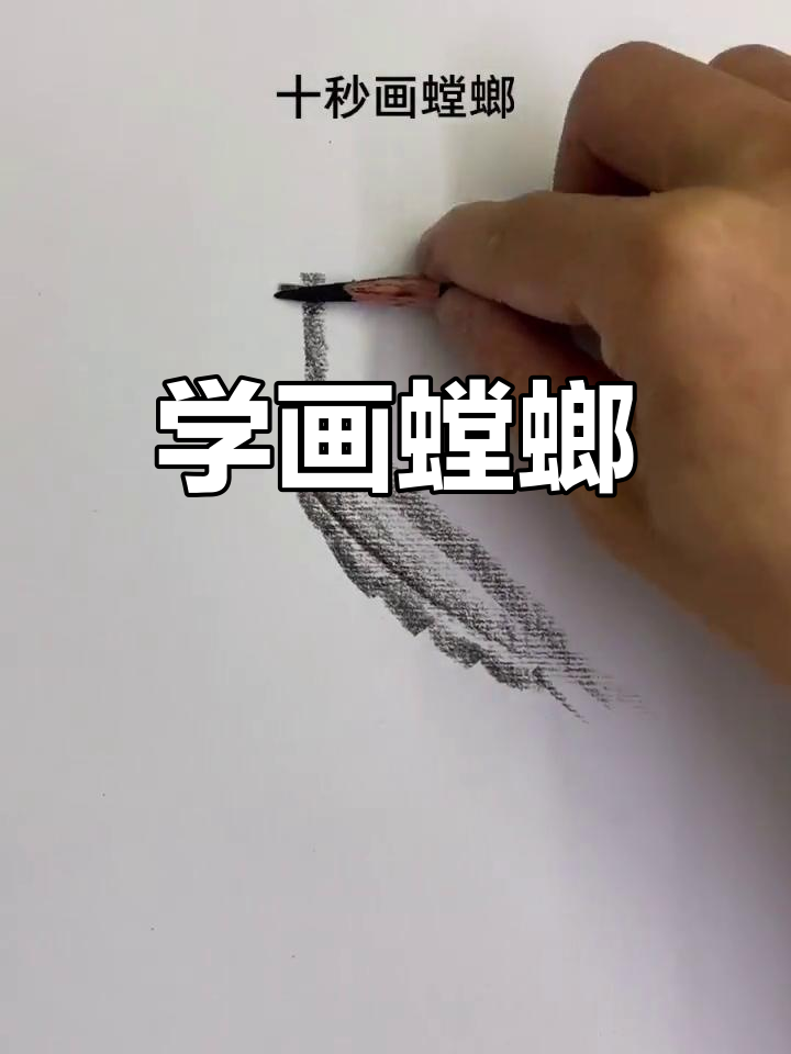 怎么画素描螳螂图片