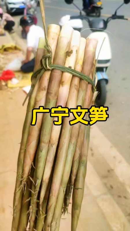 如此山珍,错过就等下一年了!地方特产 优质农产品 广宁文笋-度小视