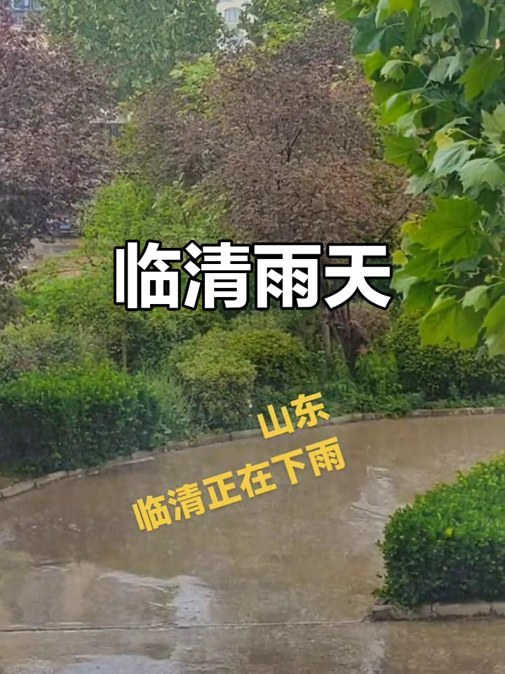 今天临清天气预报