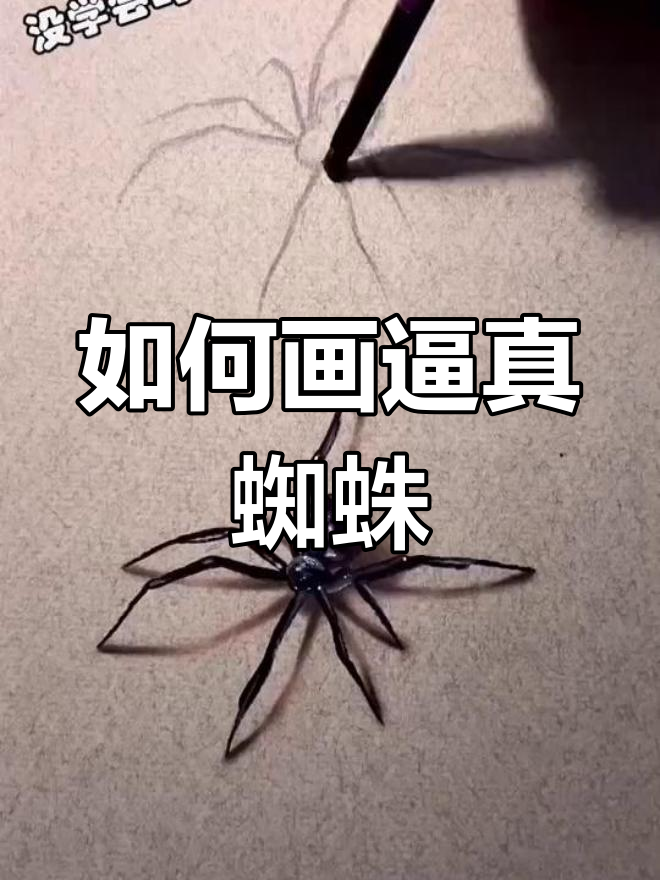 立体蜘蛛绘制技巧大揭秘