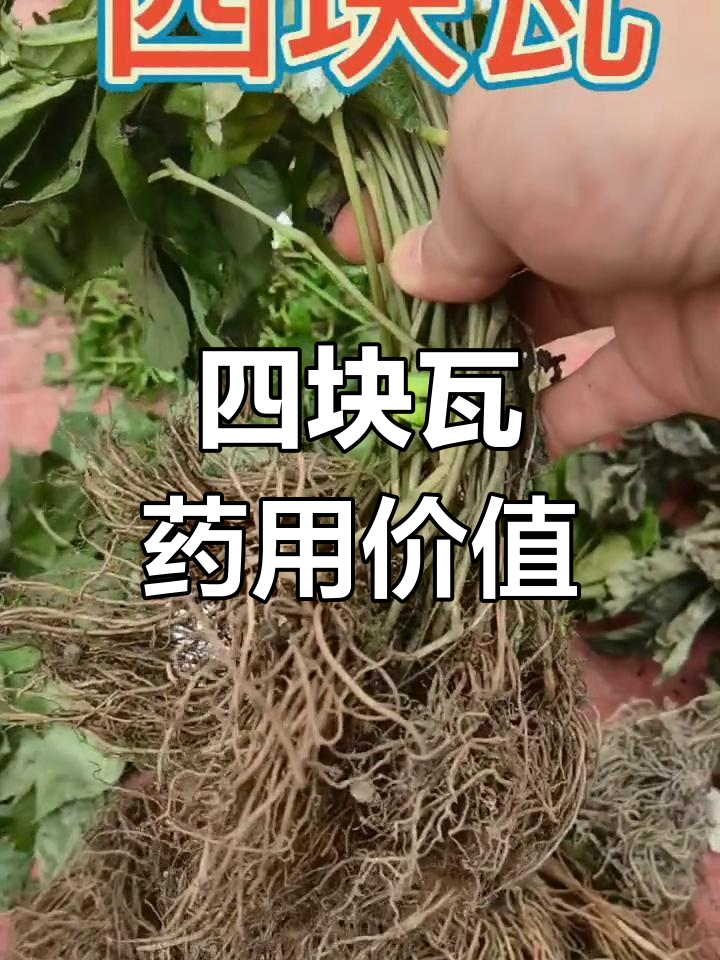 四块瓦的功效与作用图片