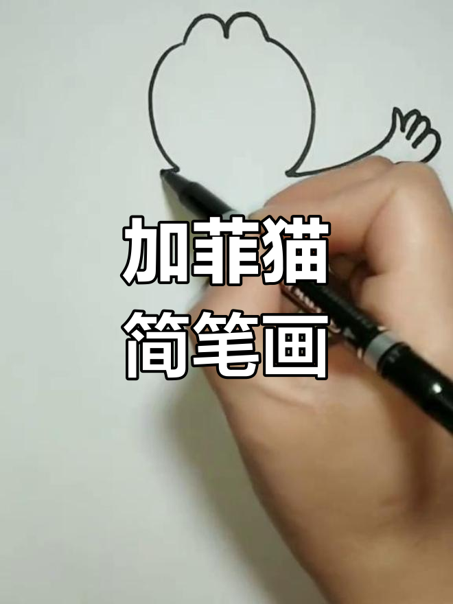 加菲猫简笔画步骤图图片