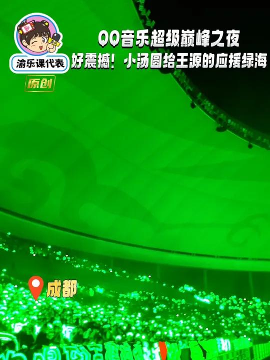 好震撼!小汤圆给王源的应援绿海