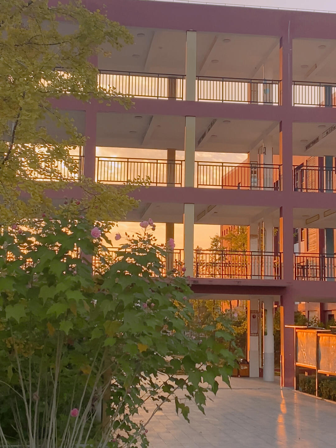 放学后的校园,宁静又祥和