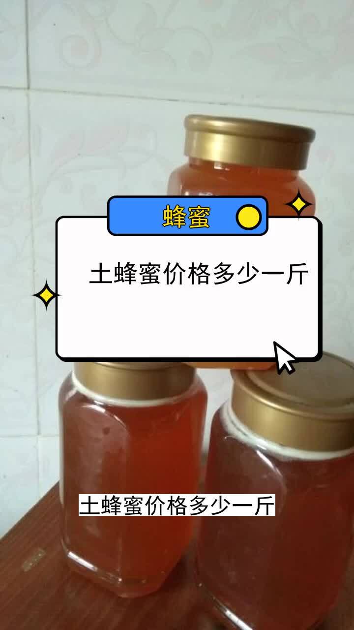 土蜂蜜价格多少一斤三农种植农业种