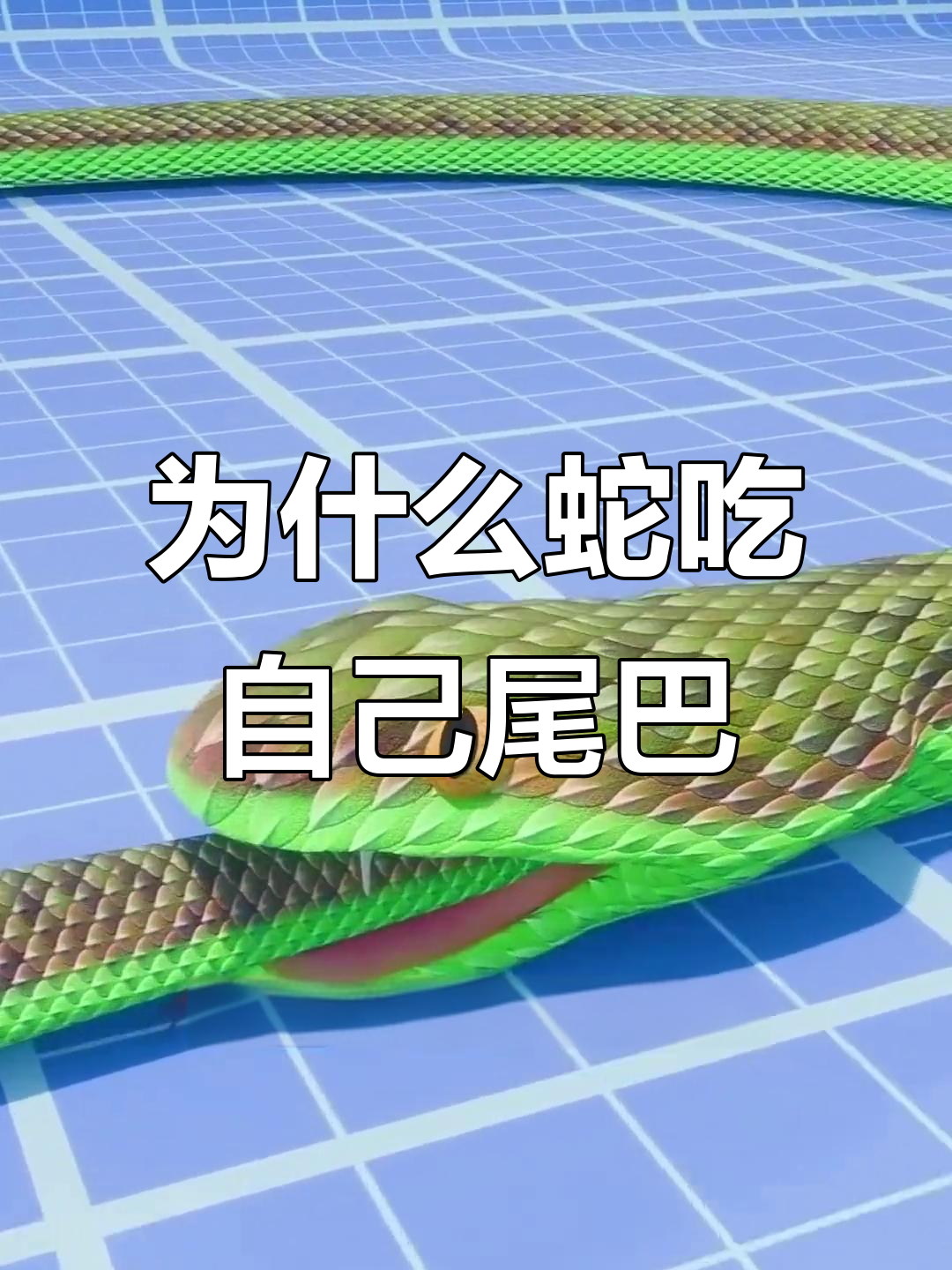 蛇为何会吞自己的尾巴?揭秘背后的原因