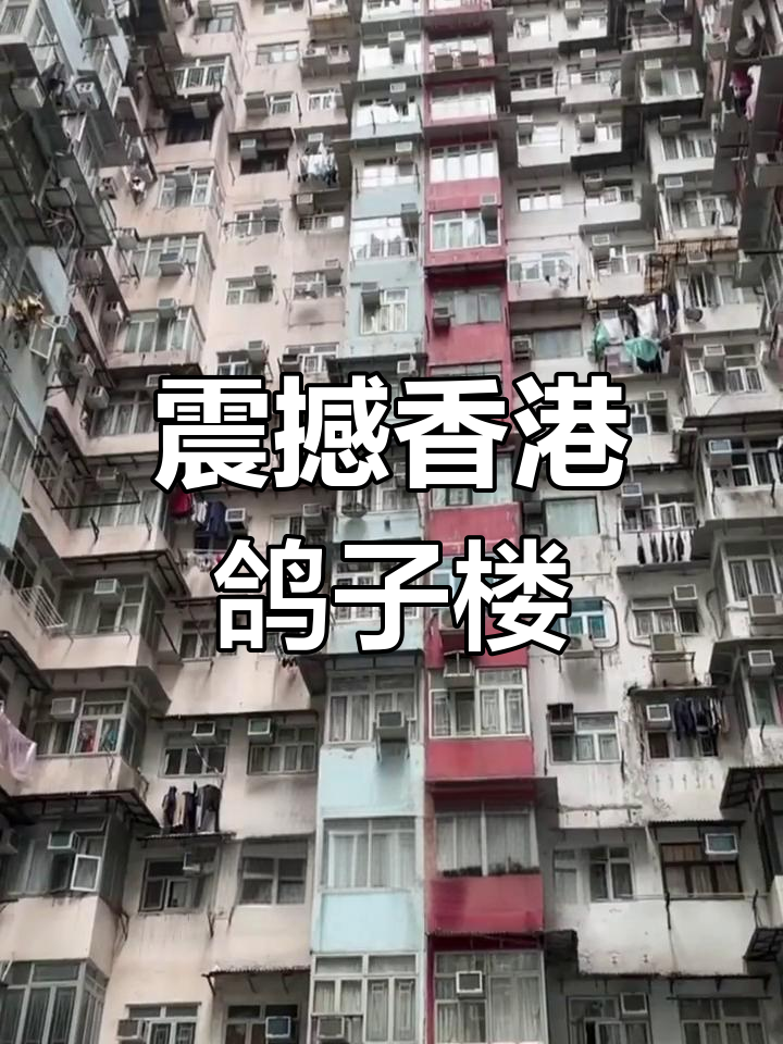 香港鸽子房图片