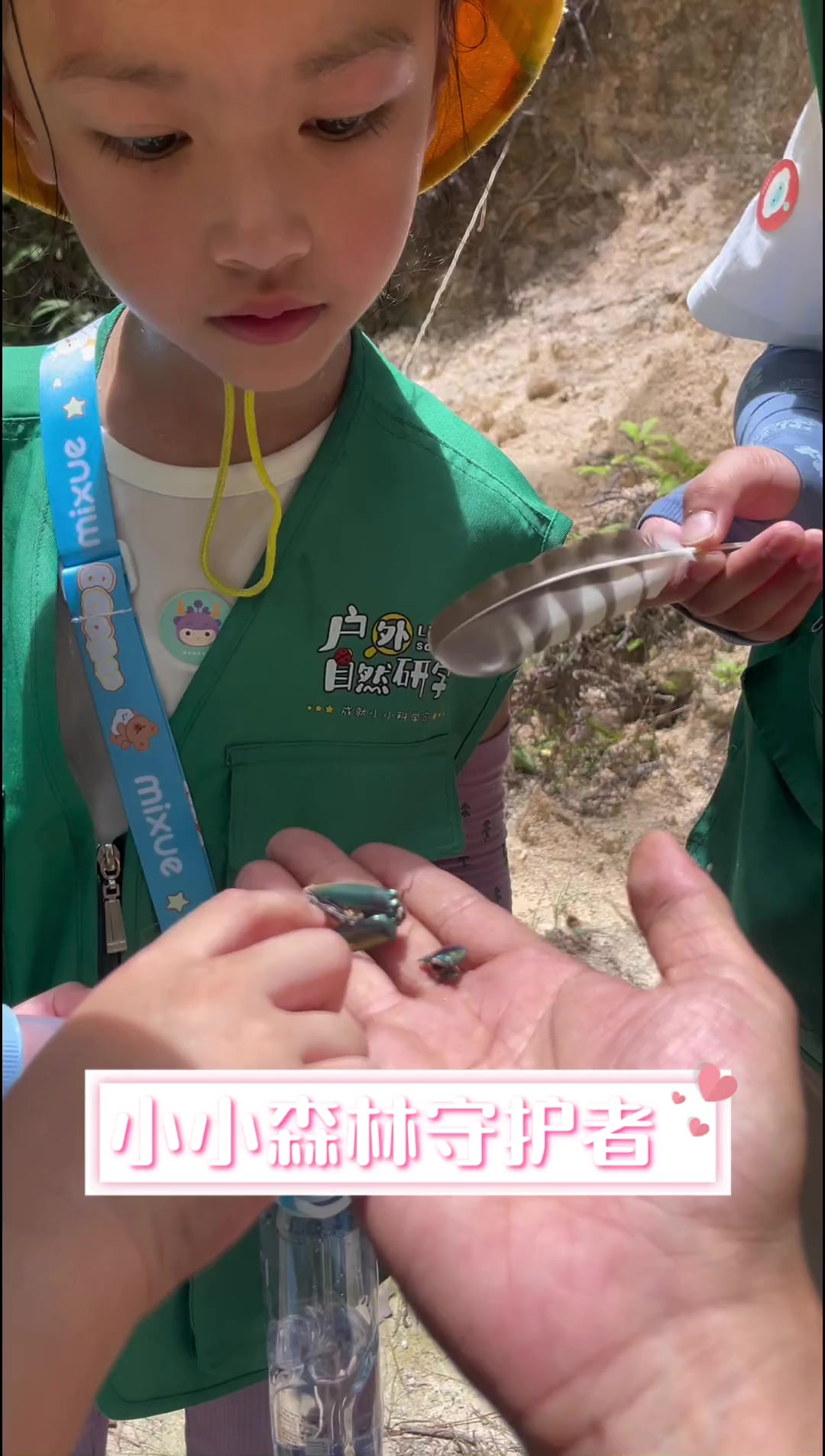 小小森林守护者