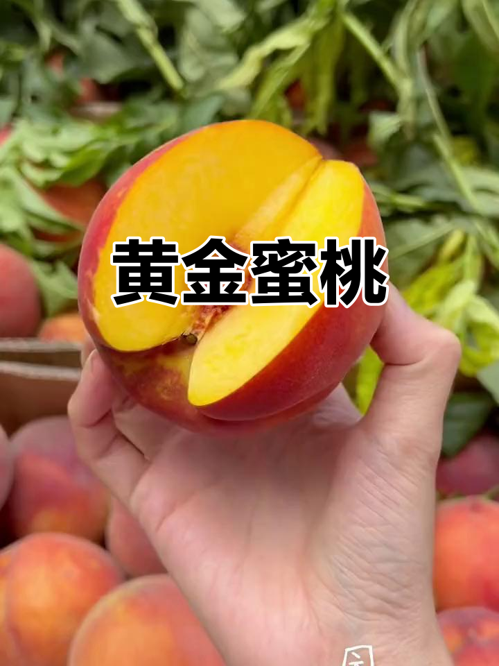 黄金蜜桃,脆甜口感,软糯汁多,回味无穷!