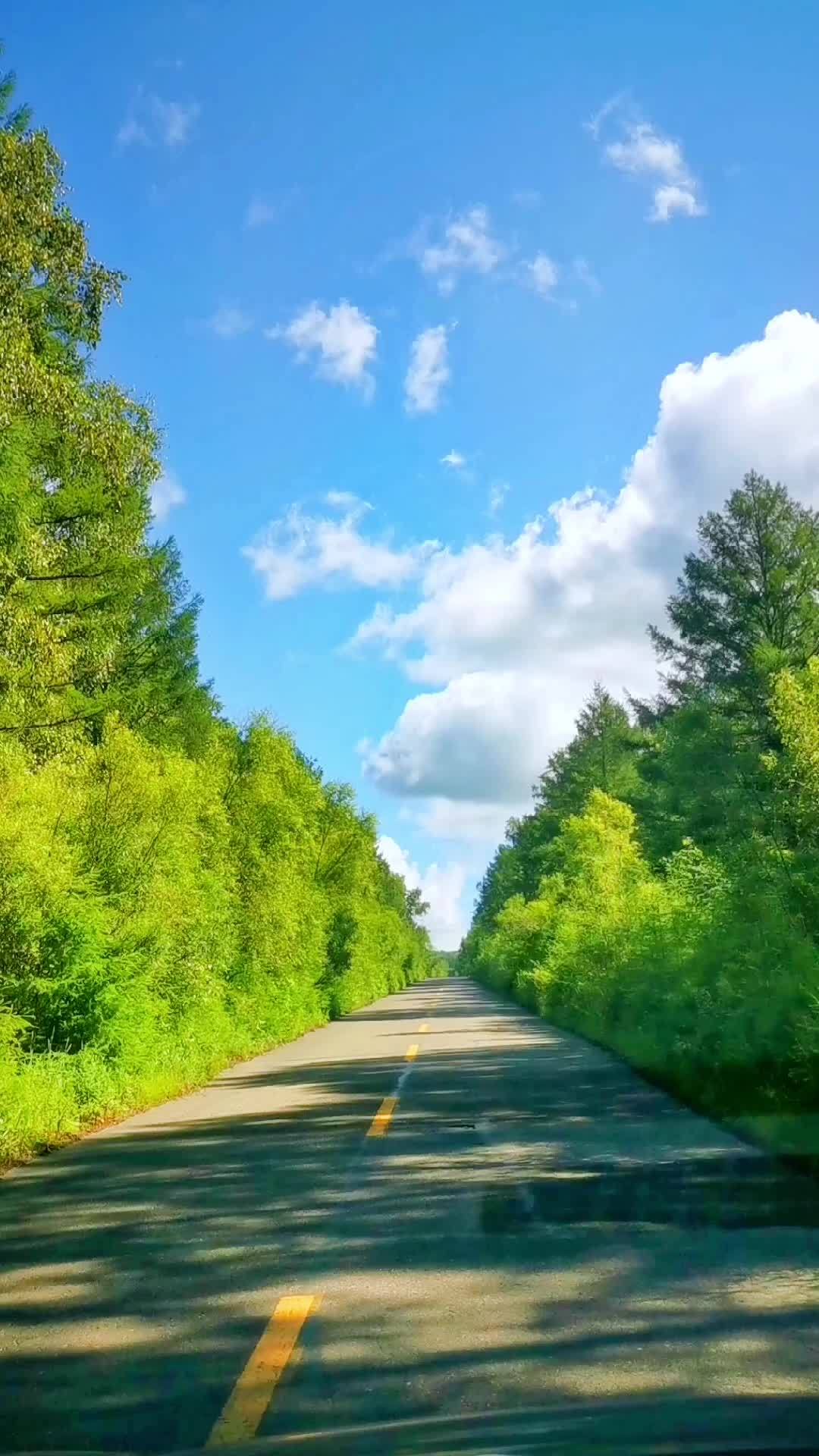 大兴安岭 最美的风景在路上 一起享受大自然的美
