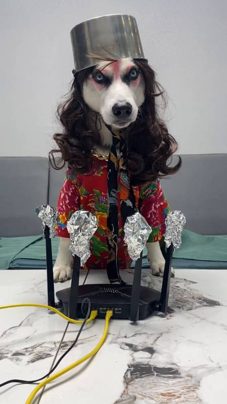 二狗子:都停一停,我开个会,没意见吧