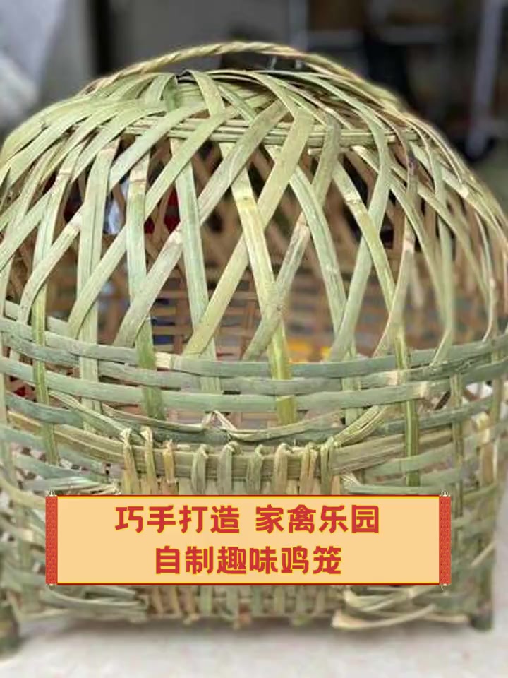 巧手打造,家禽乐园自制趣味鸡笼